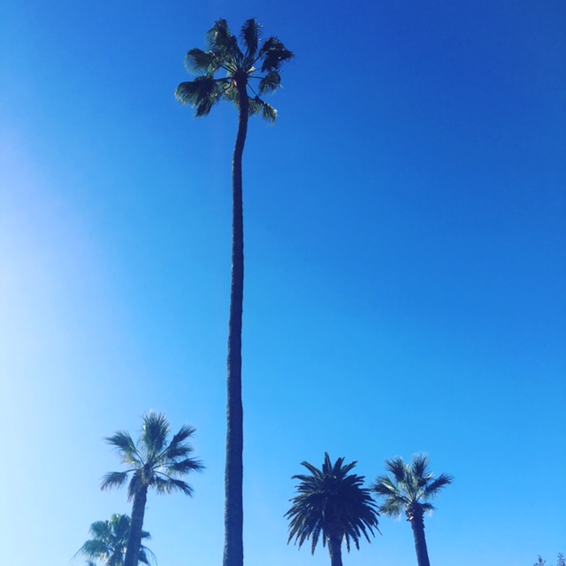 72 hours in WeHo
